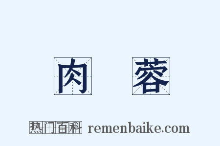 肉蓯蓉是什么意思的图片